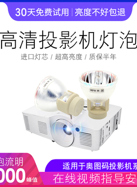 原装Optoma 奥图码VDHDNL HPF273 OTS451 OTS466 IE973 HTF420 HD33 HD3300 HD3300X HD300X 投影机仪灯泡