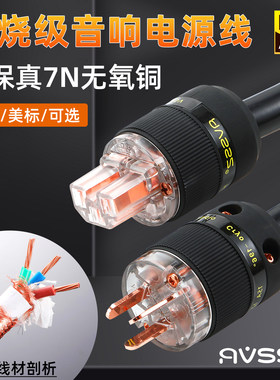 AVSSZ发烧级纯铜国标美标电源线