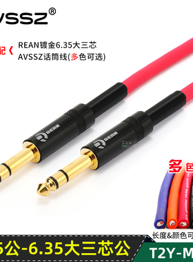 NEUTRIK6.5大三芯REAN转6.35电脑功放音频连接线公对公吉他调音台