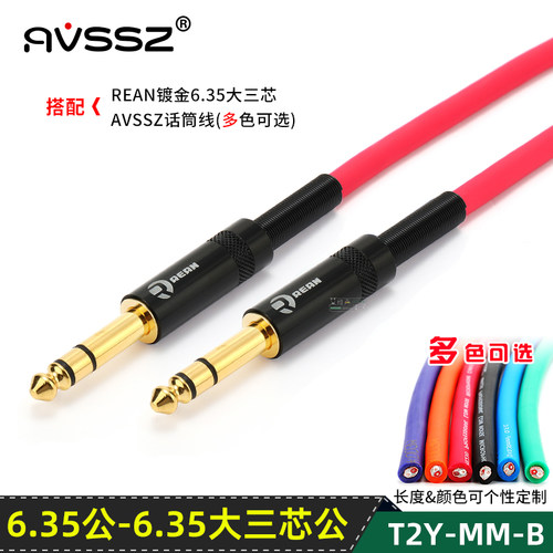 AVSSZ话筒线6.5大三芯转6.35
