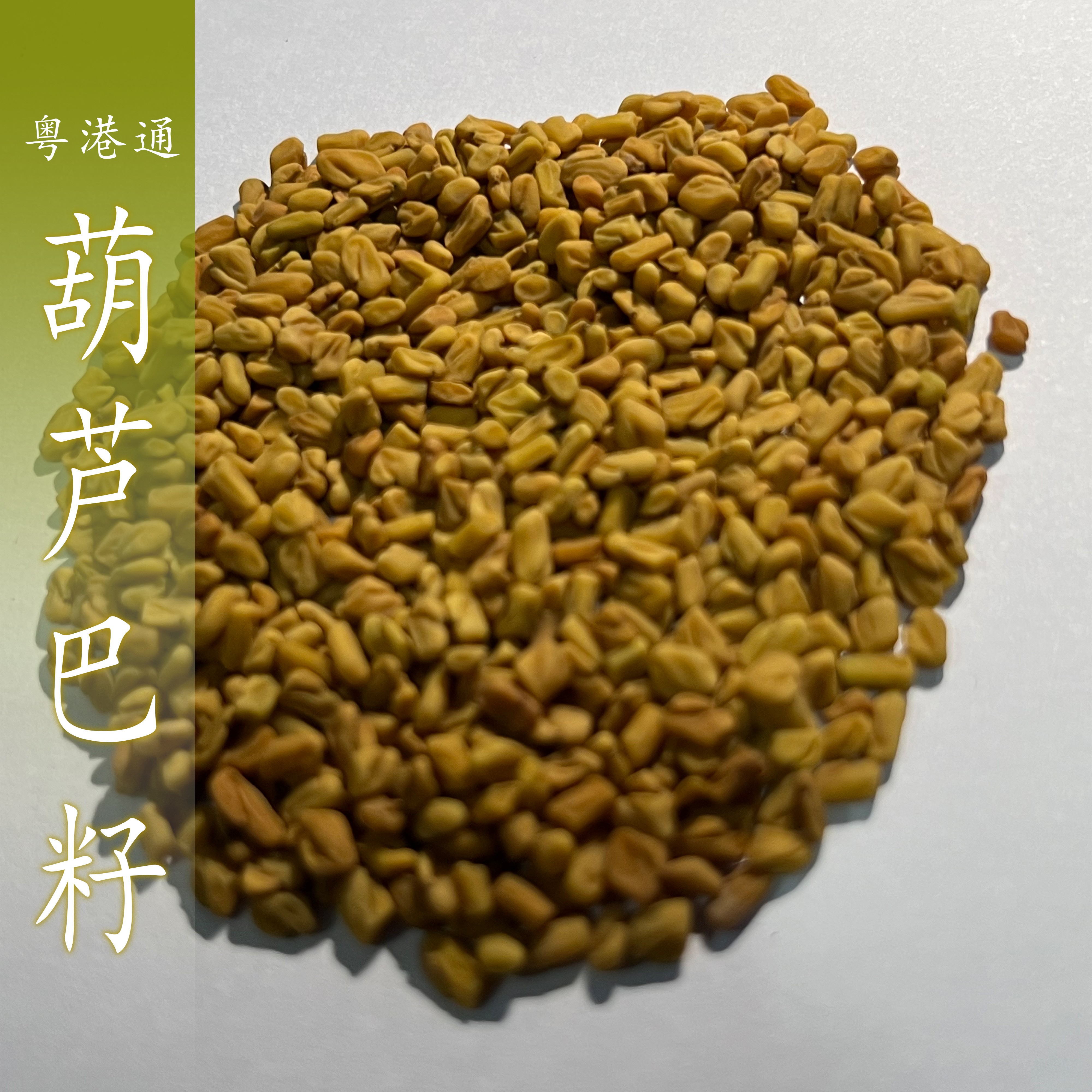 葫芦巴籽 葫芦巴子Common Fenugreek Seed