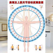 颈肩及上肢关节活动度测量图墙贴中医馆诊所医院装 饰背景墙纸壁画