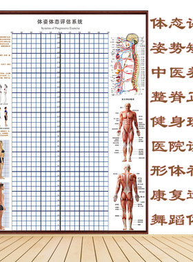 体态评估表墙贴健身房体测网格纸瑜伽馆私教姿势体位背景墙体姿图