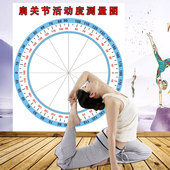 肩关节活动度测量图壁纸医院骨科诊所墙贴上肢检测圆形角度尺图