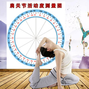 肩关节活动度测量图壁纸医院骨科诊所墙贴上肢检测圆形角度尺图