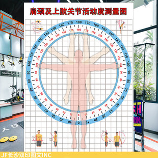 JF肩颈上肢关节活动度测量工具图壁画医学运动圆圈角度尺网格墙纸