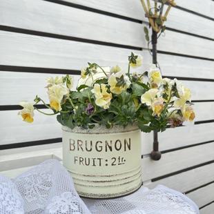 日式铁艺字母罐头花盆铁艺花插铁艺花园多肉摆件易拉罐花盆阳台