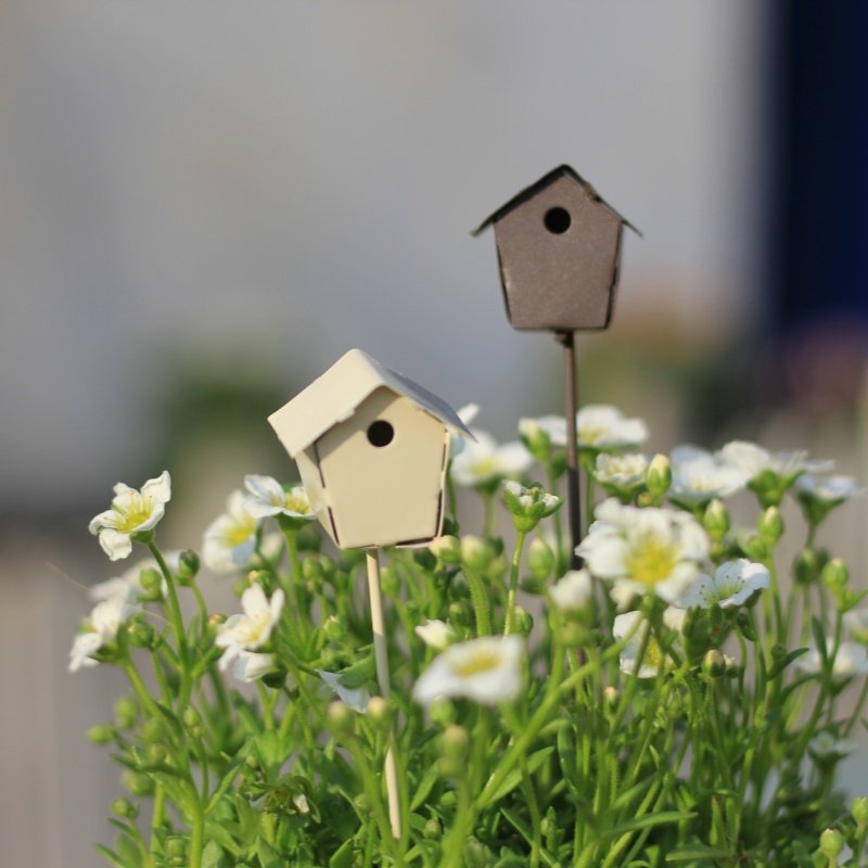 铁艺小房子花插园艺杂货摆件复古庭院装饰多肉装饰微景观插件,家居饰品,户外/庭院摆件,淘宝优惠券,粉丝福利购,淘宝优惠卷