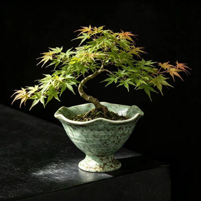 水培苔藓球蕨类绿植专用陶瓷花盆高脚铜钱草水仙蝴蝶兰花盆创意盆