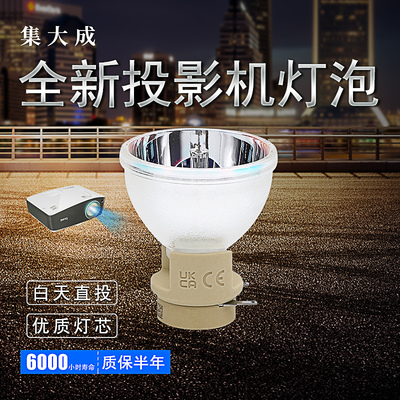 原装奥图码投影机灯泡