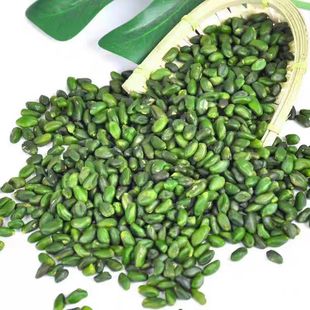 绿开心果仁烘焙 伊朗进口原味生   碧绿色烘焙糕点装饰 烘焙原料