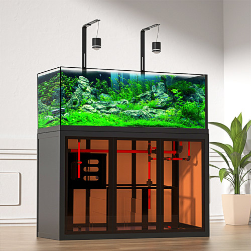 极窄溪流缸鱼缸底滤一体大型客厅家用南美原生态兰寿缸超白可订制