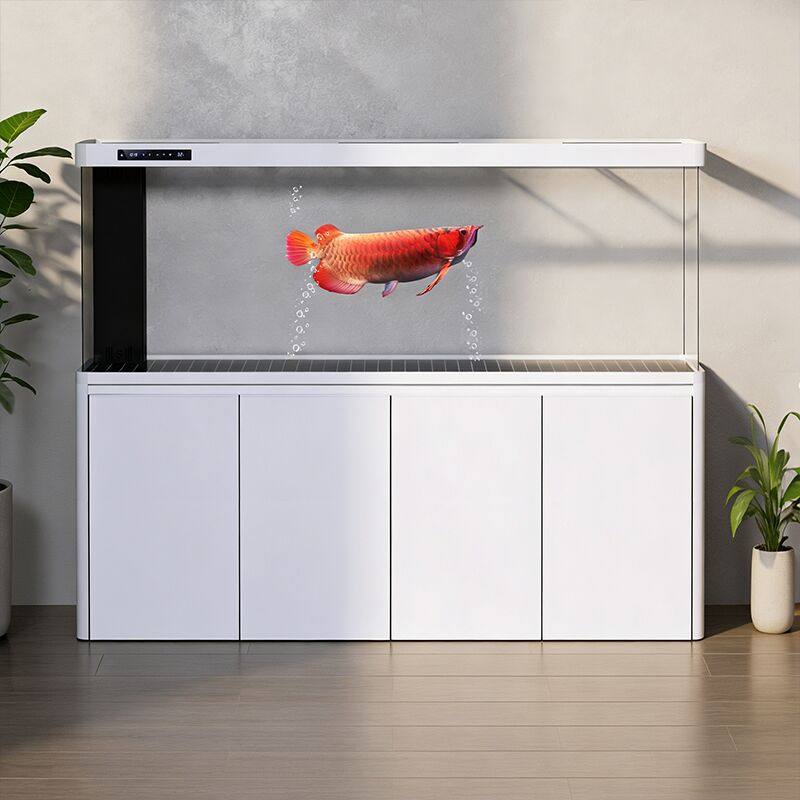 鱼缸客厅2025新款底滤龙鱼缸家用生财办公室超白大型落地智能生态,宠物/宠物食品及用品,底柜/落地缸,淘宝优惠券,粉丝福利购,淘宝优惠卷
