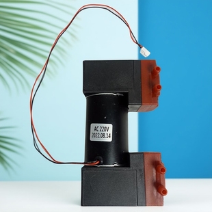 美容仪高效专业级气泵刮痧仪小气泡吸笔12v真空泵220v双头泵配件