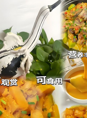 南瓜白天鹅种子观赏南瓜籽