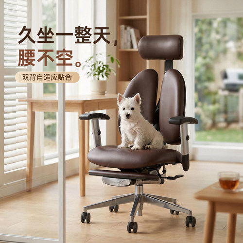 【店铺热卖】人体工学椅双背护腰