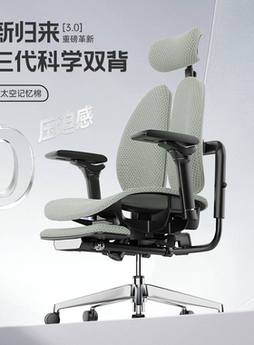 2025新款人体工学椅子W02电脑椅护腰书房办公室椅真皮老板椅家用