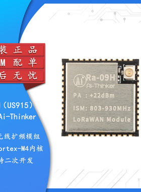 Ra-09H（US915）LoRa无线扩频模块支持LoRaWAN协议STM32WLE5CCU6