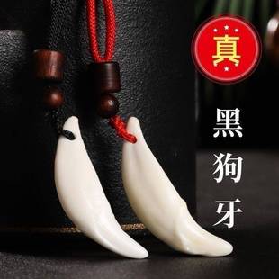 真黑狗牙项链狼狗牙齿吊坠男士女士配饰祈福情侣儿童宝宝随身挂件