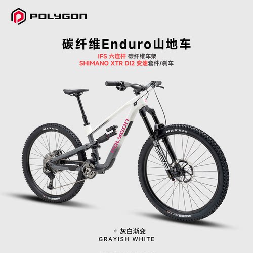 POLYGONN9Di2碳纤维山地自行车