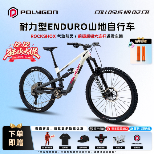 POLYGONN9Di2碳纤维山地自行车