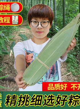 粽叶粽子叶新鲜免邮干箬竹叶大码家用包粽子特大号新货商用宽棕叶