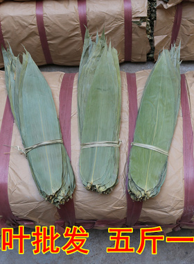 粽叶野生干粽叶新鲜大粽子叶粽叶子棕叶箬竹叶统货5斤散装免邮