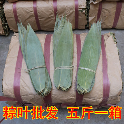 粽叶野生干粽叶新鲜大粽子叶纯天然粽叶子棕叶统货5斤装免邮