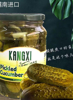 临期特价 越南 康希来啦俄式酸黄瓜酱腌菜680g 汉堡沙拉配菜0脂肪