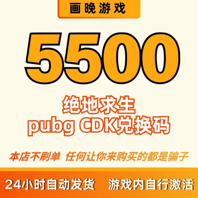 pubgg币cdk绝地求生吃鸡兑换码 5500cdk官方正品 全天秒拍秒发