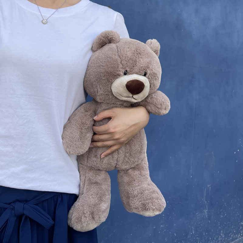 抱抱熊泰迪熊毛绒玩具公仔玩偶