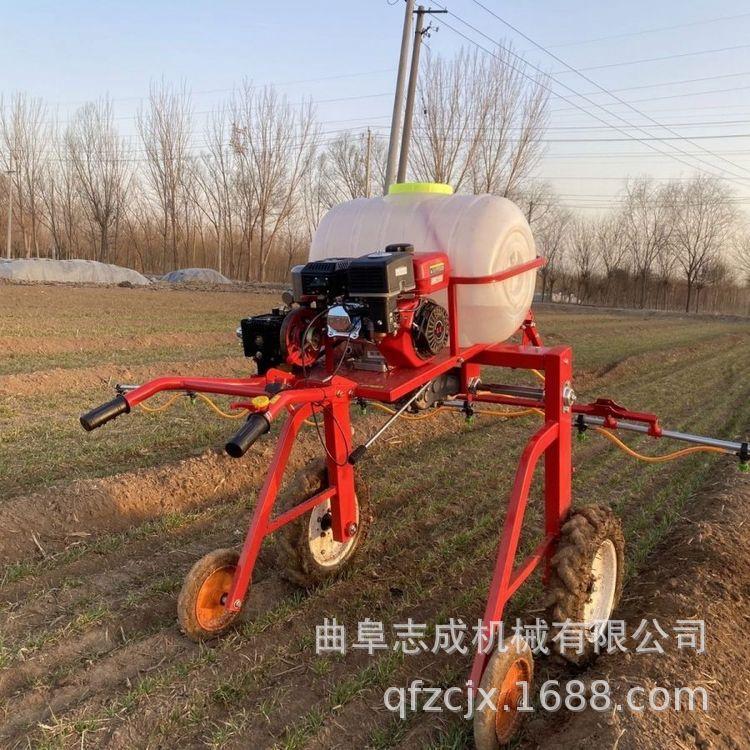 新款自走式手扶打药机玉米地手推喷杆喷药机蔬菜大棚喷雾器