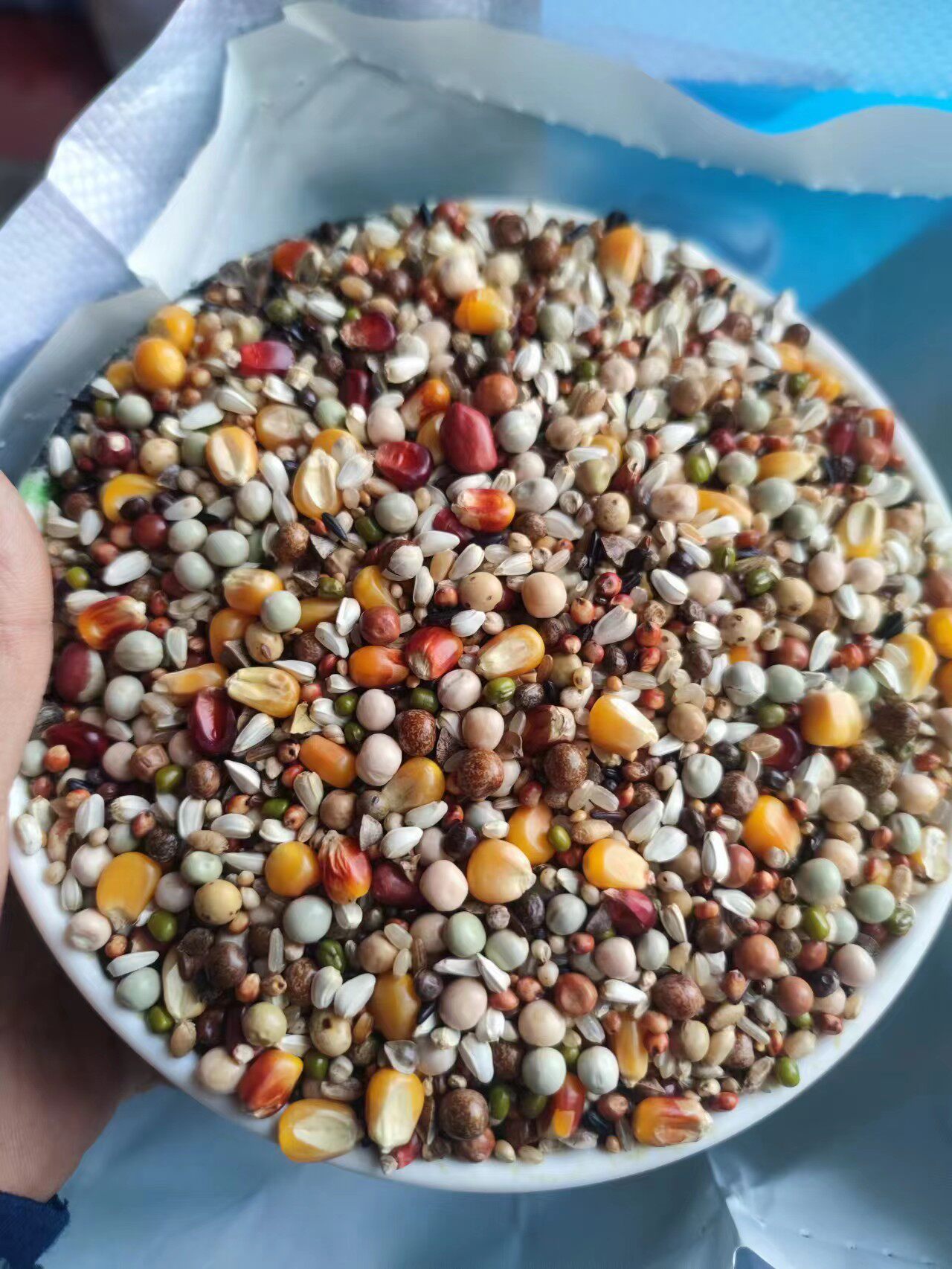 赛动力鸽粮带红玉米营养3A赛鸽饲料信鸽军鸽观赏鸽肉鸽鸟食