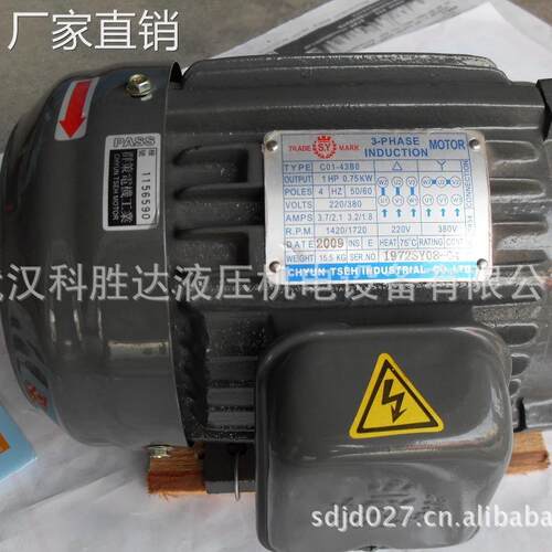 CHYUNTSEH群策电机SY马达C02-43BO.CB2-43BO.C15-43BO 空心轴0.75