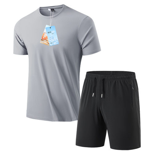 运动套装男健身衣服夏季跑步速干衣短袖t恤羽毛球训练服冰丝短裤