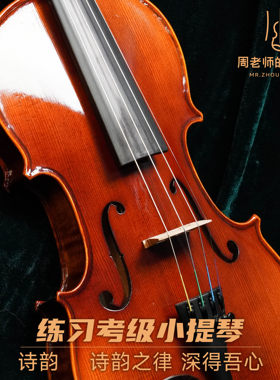 【诗韵】考级练习欧料小提琴枫木云杉木儿童小提琴