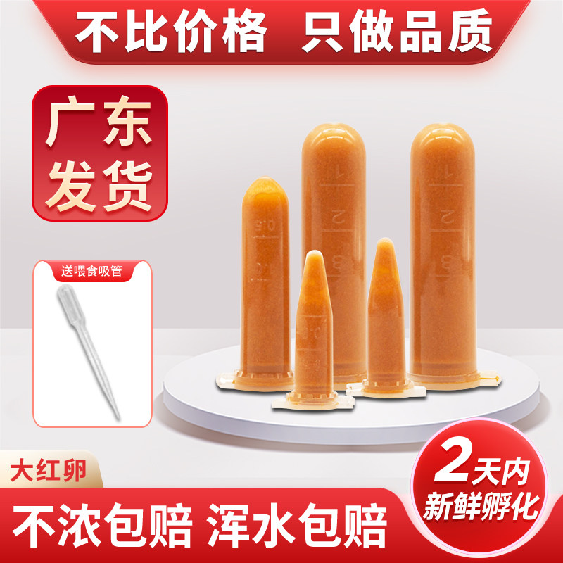 丰年虾卵冷冻冰冻饲料小幼型鱼苗开口粮卤幼虫免孵化大红卵超细卵