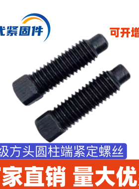 4.8级方头紧定螺丝方头长圆柱端紧定螺钉GB85螺丝M6M8M10-M24