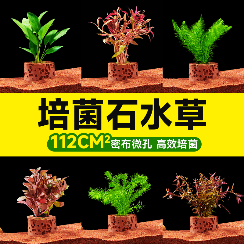 yee水草好养耐活培菌净水