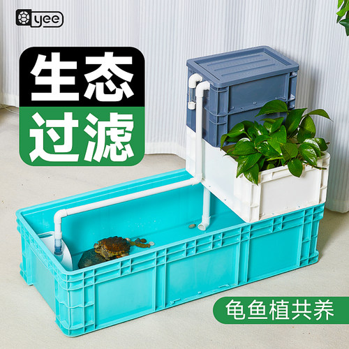 乌龟周转箱鱼缸龟缸周转箱过滤