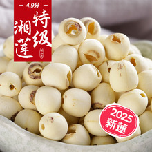 【特级品】林弘堂特级去芯莲子500g 湘潭磨皮无心湘莲白莲米干货