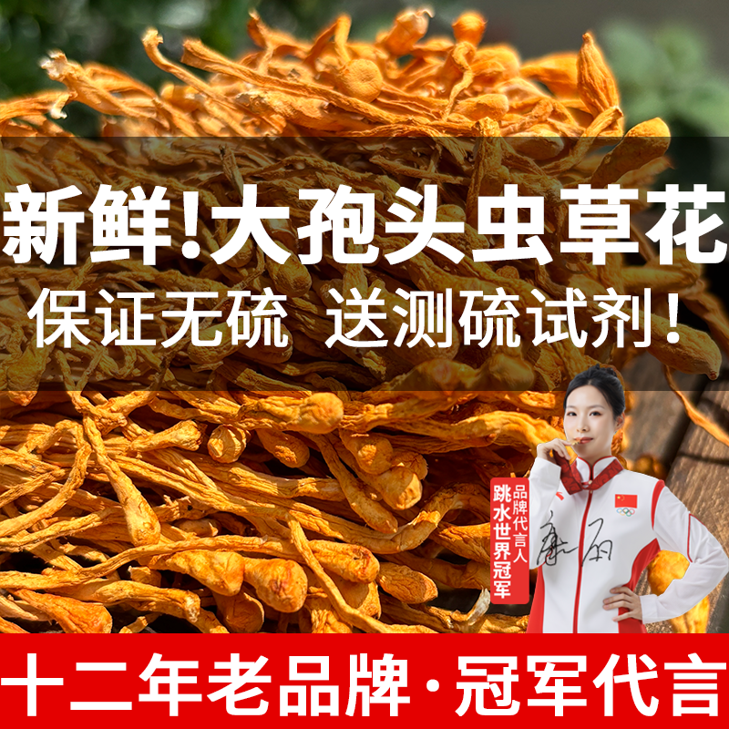 新鲜虫草花干货官方旗舰店正品干虫草花煲汤野外生正宗蛹虫草250g