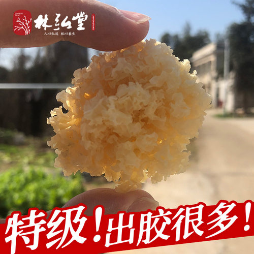 【特级】长白山野外生椴木小银耳出胶白木耳干货无硫糯雪耳碎丑耳 - 封面