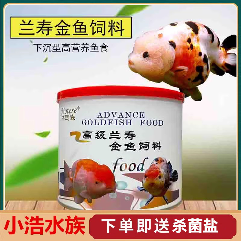 沐德森兰寿中国金鱼兰寿增体