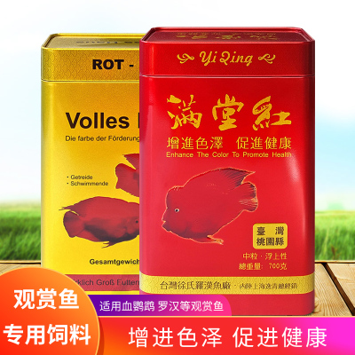 小型颗粒状锦鲤满堂红