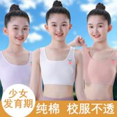 新款 11岁少女发育期小学生纯棉质双层少女背心内衣秋装 内穿打底