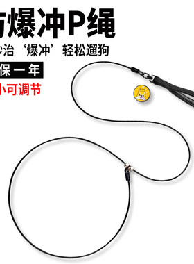 遛狗绳小型犬狗绳赛级p绳狗狗牵引绳训犬P链中大型犬防爆冲狗链子