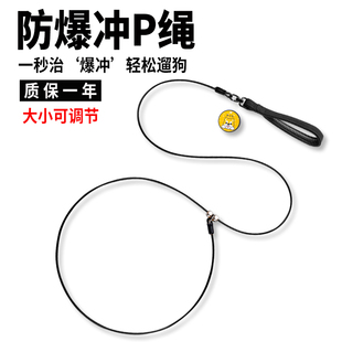 遛狗绳小型犬狗绳赛级p绳狗狗牵引绳训犬P链中大型犬防爆冲狗链子