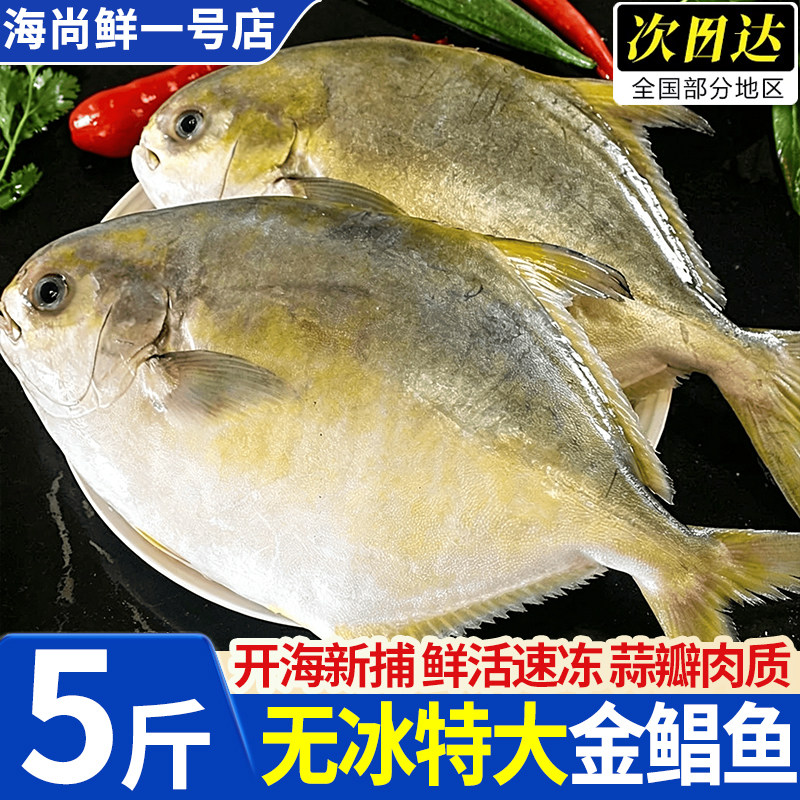深海金鲳鱼冷冻特大商用批发