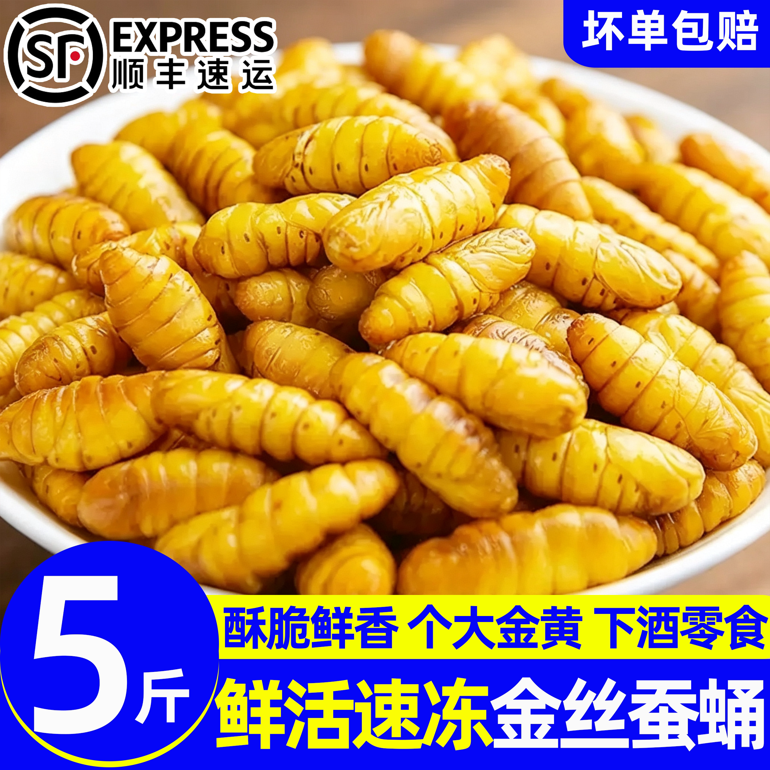 山东潍坊冷冻金丝蛹批发价